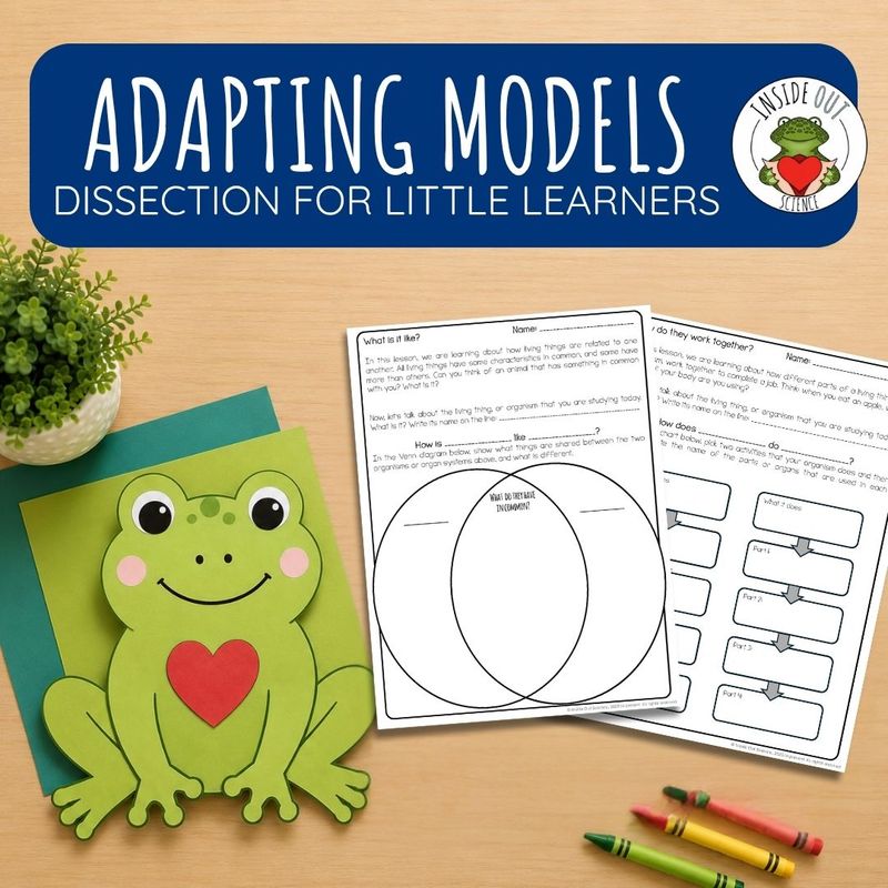 Dissection Lab | Elementary Dissection Exploration Graphic Organizers