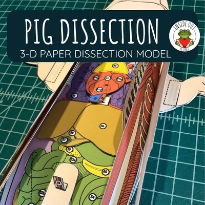 Pig Dissection Zoology | Biology 3-D Anatomy Paper Dissection Model & Lesson