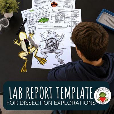 Dissection Lab | Report Template for Dissection | Organ Exploration | Comparative Anatomy
