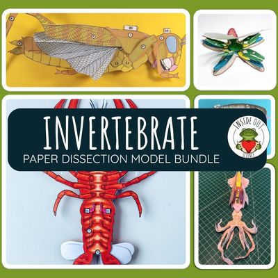 Invertebrate Animal Dissection Zoology | Biology 3-D Paper Dissection Models Bundle