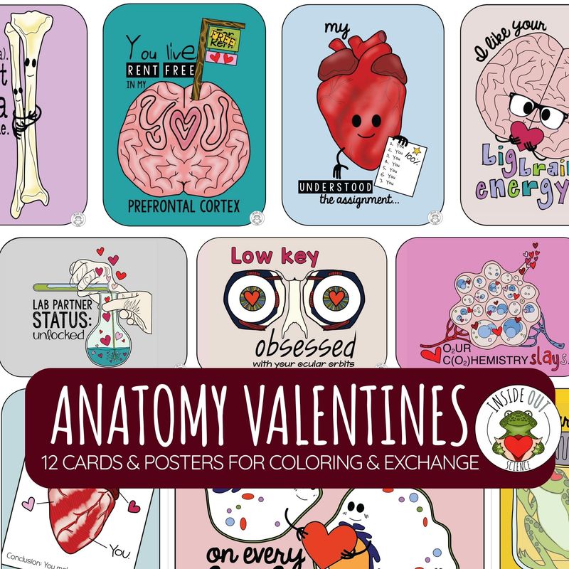 Valentine's Day | Anatomy-themed Cards for Coloring | Class Exchange & Posters