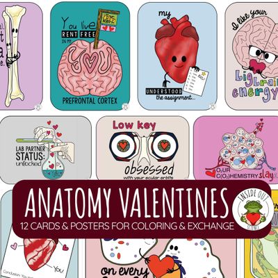 Valentine's Day | Anatomy-themed Cards for Coloring | Class Exchange & Posters