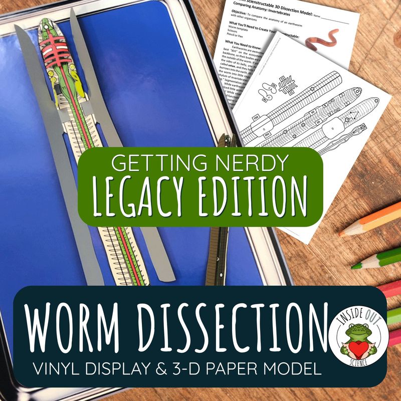 LEGACY Earthworm Dissection Model | Large Vinyl Anatomy Demonstration Kit & Lesson