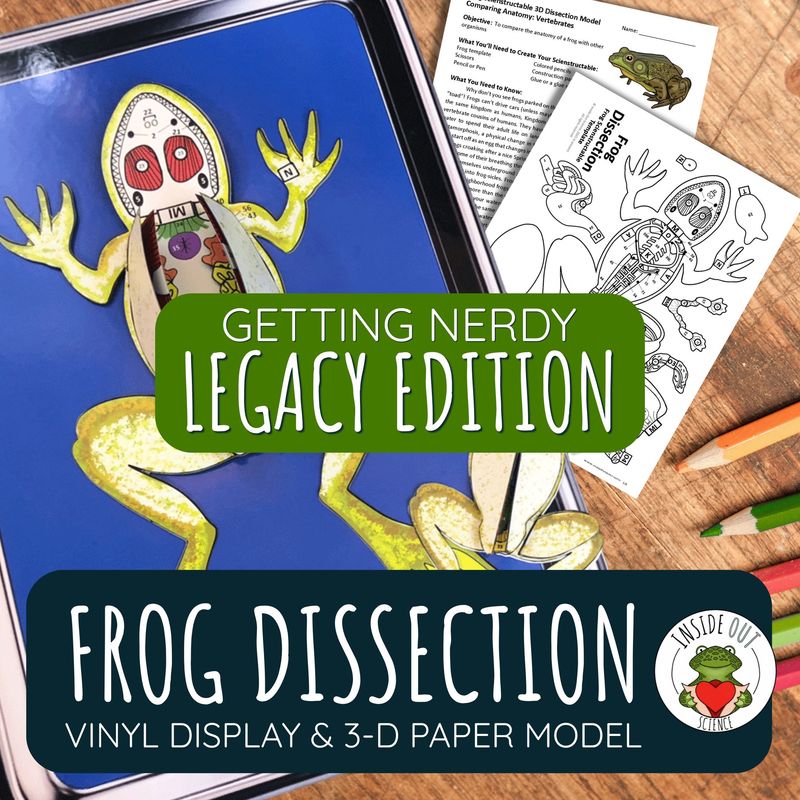 LEGACY Frog Dissection Model | Large Vinyl Anatomy Demonstration Kit & Lesson
