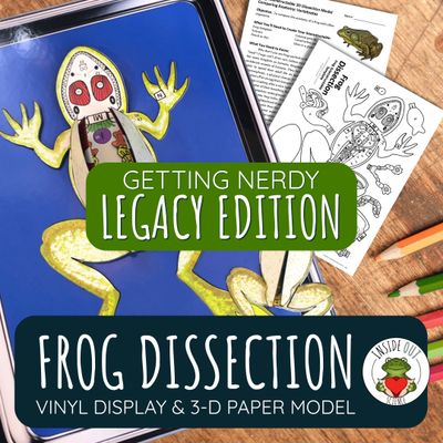 LEGACY Frog Dissection Model | Large Vinyl Anatomy Demonstration Kit & Lesson