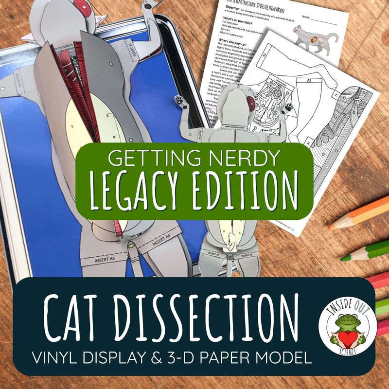 LEGACY Cat Dissection Model | Large Vinyl Anatomy Demonstration Kit & Lesson