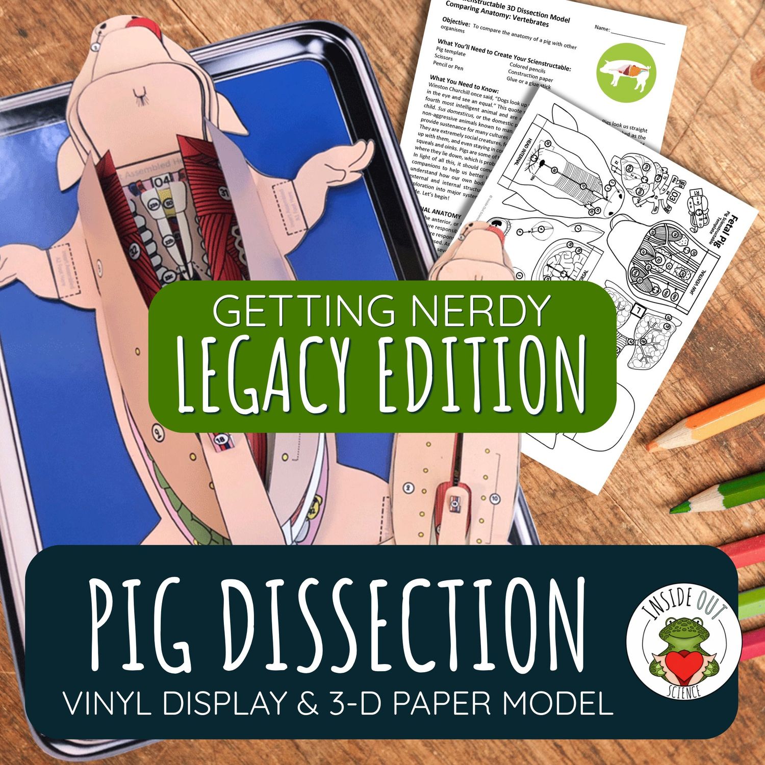 LEGACY Pig Dissection Model | Large Vinyl Anatomy Demonstration Kit & Lesson