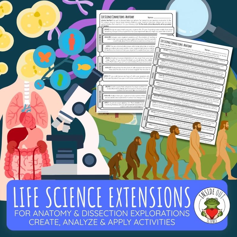 Life Science Extensions for Anatomy Models & Dissection | Create, Analyze & Apply Activities