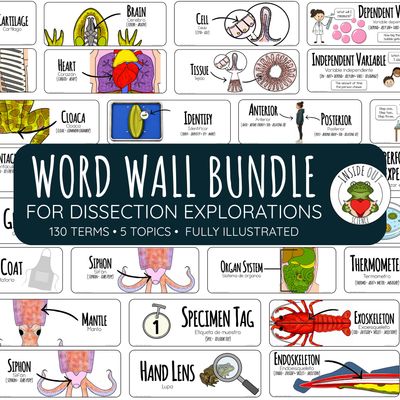 Science Lab & Dissection Word Wall | Animal Anatomy Vocabulary | English & Spanish