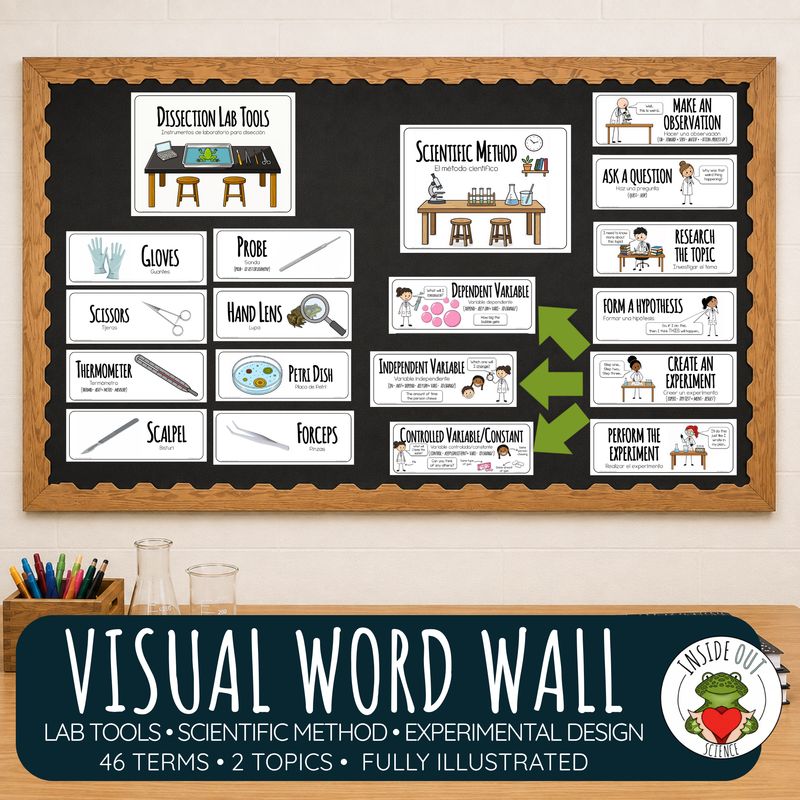 Scientific Method & Lab Tools Word Wall | Variables Science Vocabulary | Bilingual
