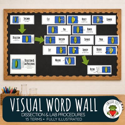 Dissection Procedures Word Wall | Dissection Lab & Anatomy Vocabulary | Bilingual Dissection Procedures Word Wall | Dissection Lab & Anatomy Vocabulary | Bilingual