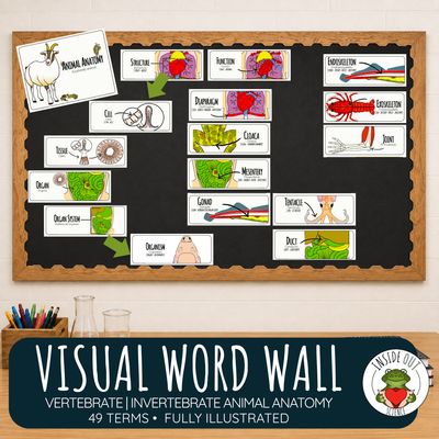 Animal Anatomy Word Wall | Biology & Dissection Vocabulary Cards | Bilingual