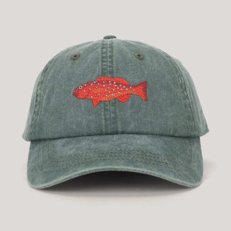 Coral Trout Lid