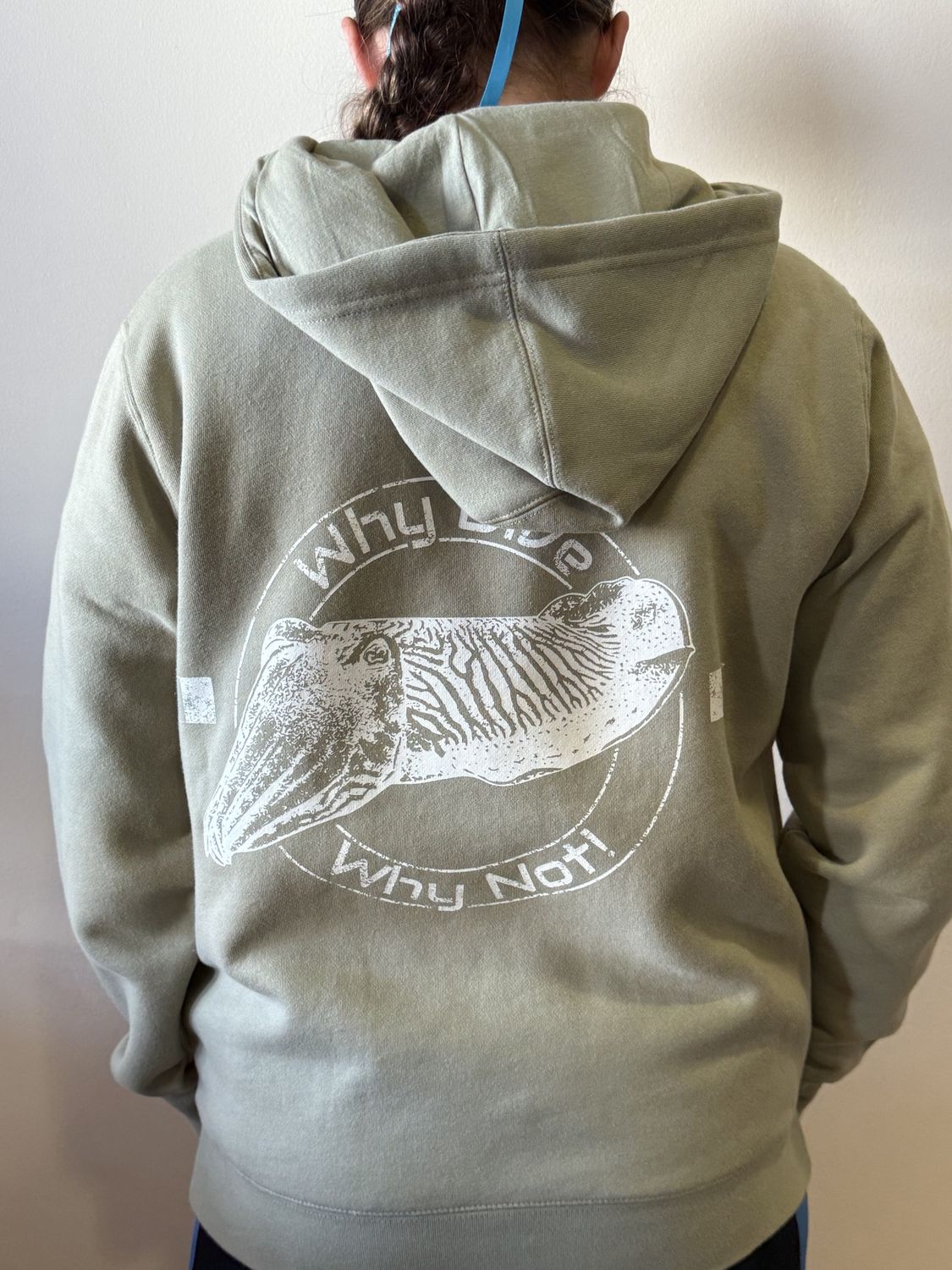 Why Dive Hoodie - Pastacio, Size: XL