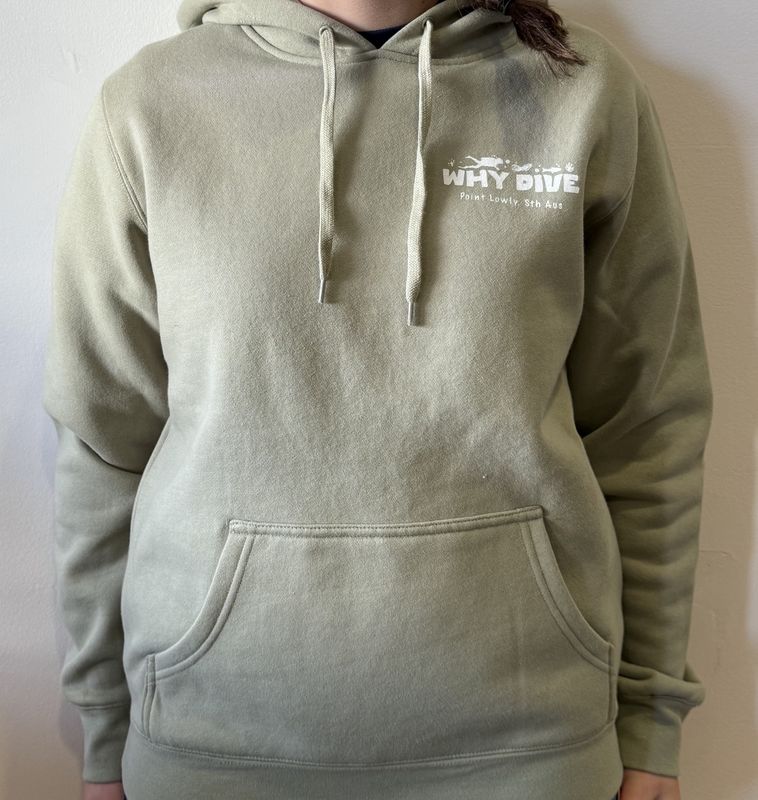 Why Dive Hoodie - Pastacio
