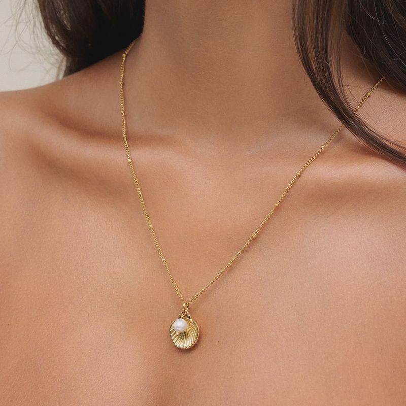 Seashell Necklace