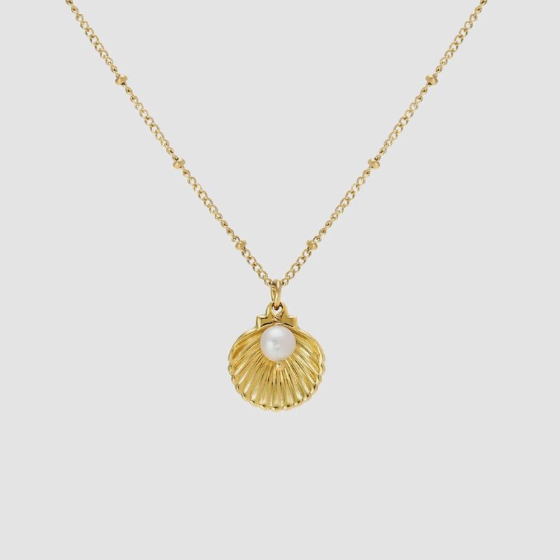 Seashell Necklace