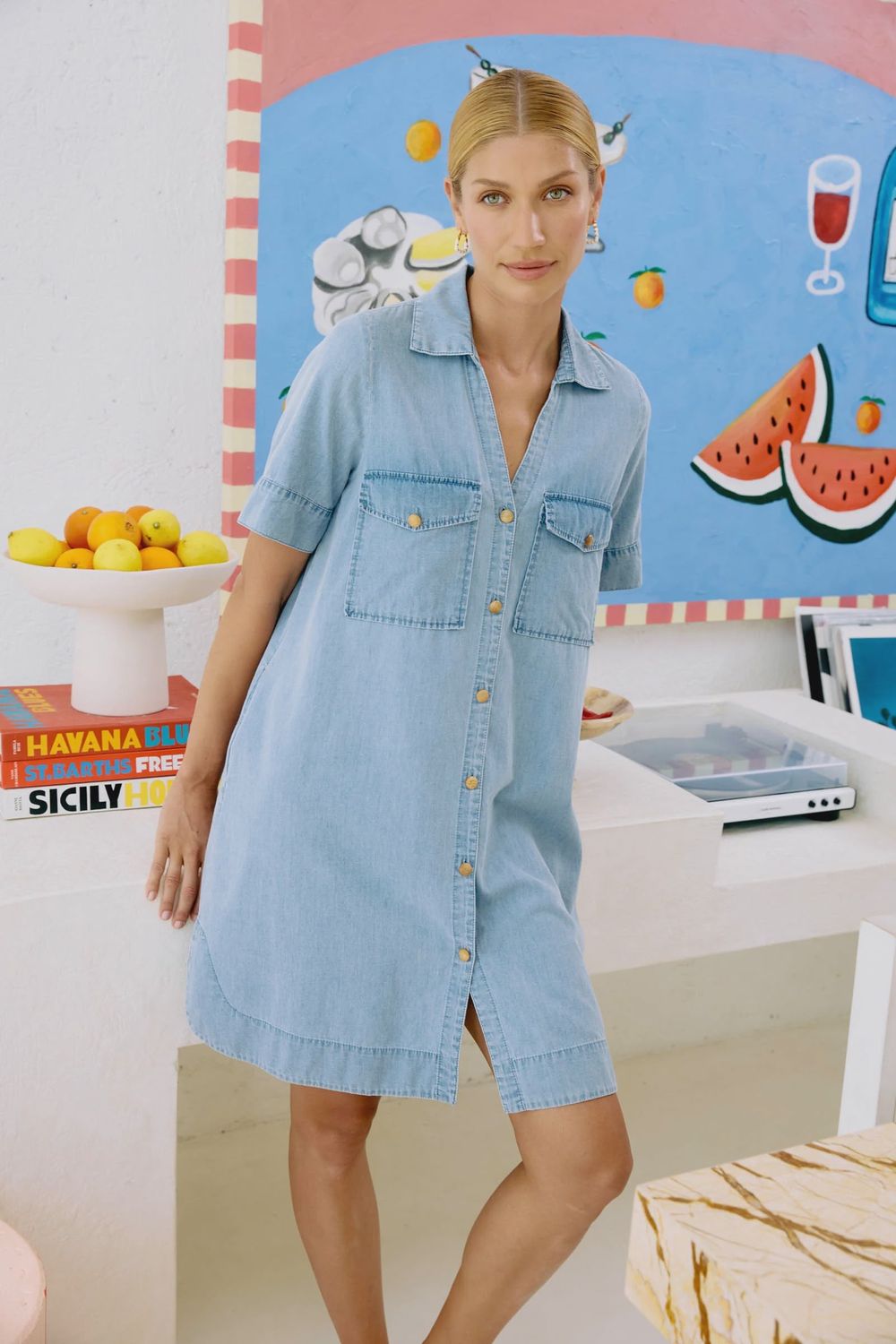 Melenia Denim Shirt Dress