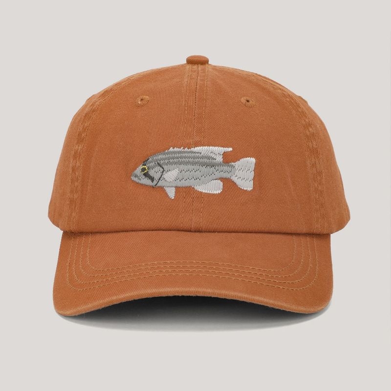 Dhufish Lid