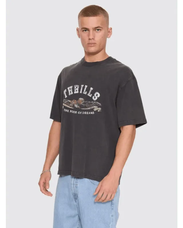 THE POWER OF DREAMS OVERSIZE BOX CROP TEE-TEMPLE GREY