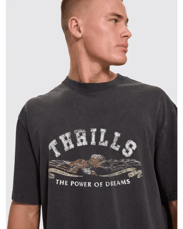 THE POWER OF DREAMS OVERSIZE BOX CROP TEE-TEMPLE GREY, Size: XS