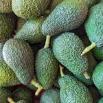 Oro Verde di Sicilia