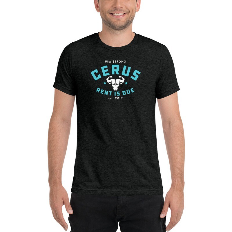 Cerus Rent is Due Teal Tri-Blend Tee