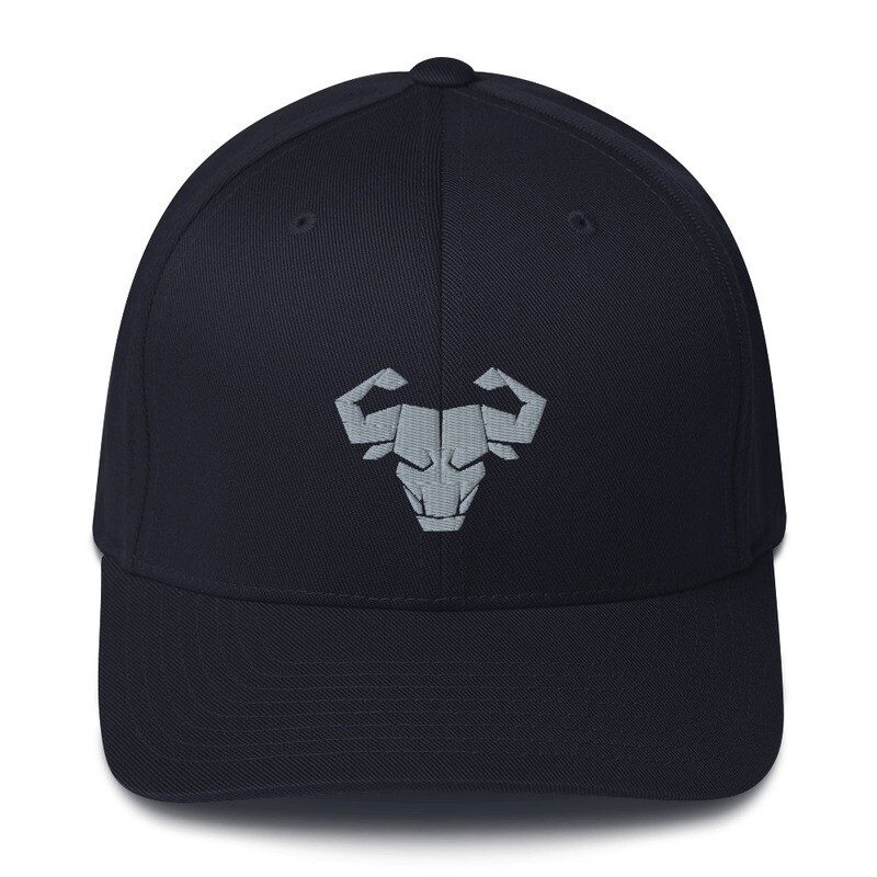 Cerus Logo FlexFit Hat