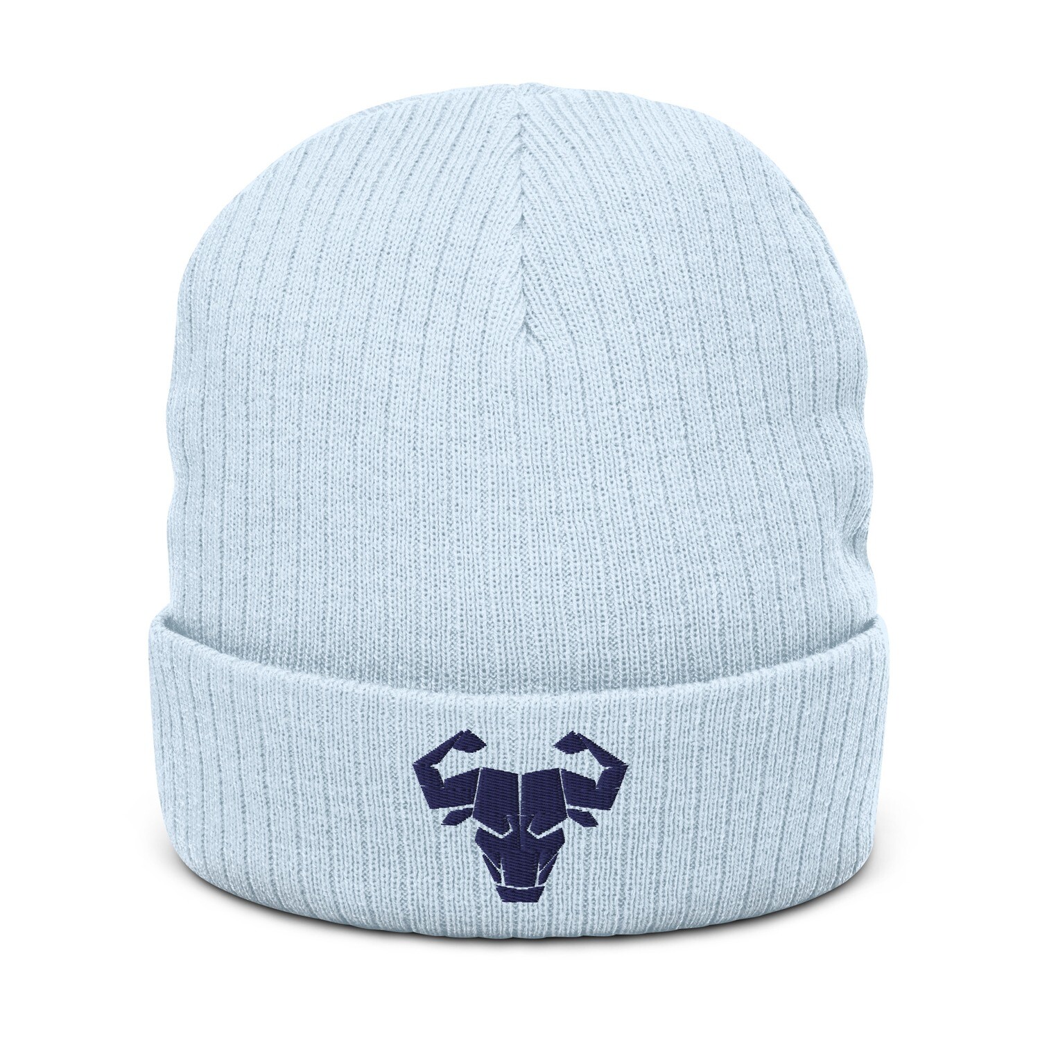 Cerus Baby Blue Beanie