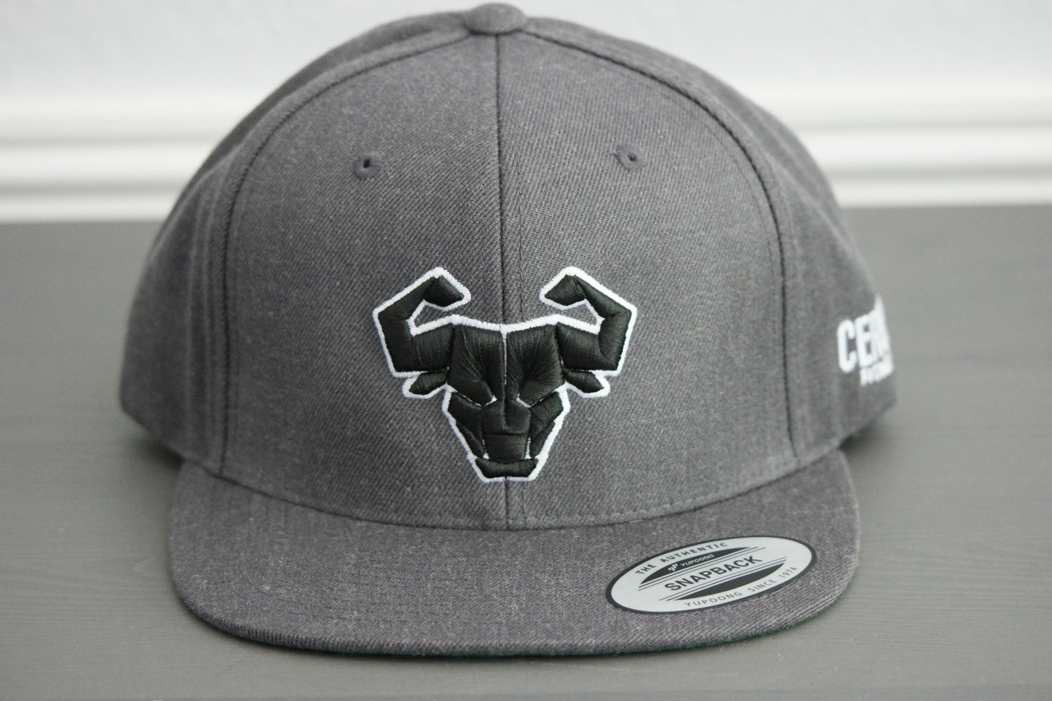 Cerus Gray Halo Snapback Hat