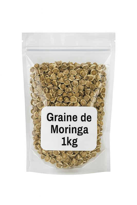Graine de moringa 1kg