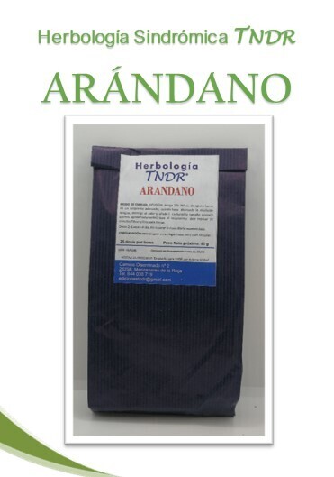 ARÁNDANO