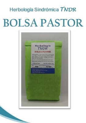 BOLSA PASTOR