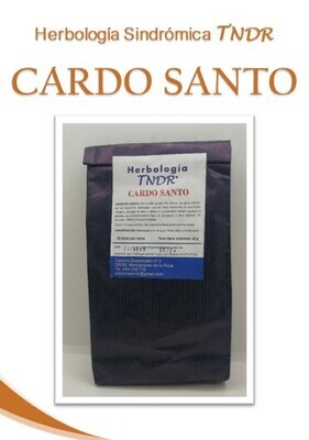 CARDO SANTO