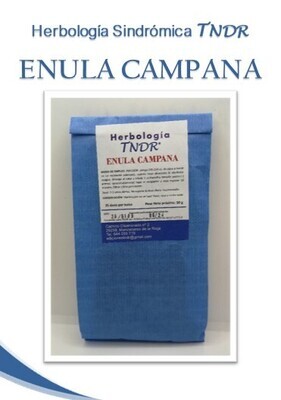 ENULA CAMPANA