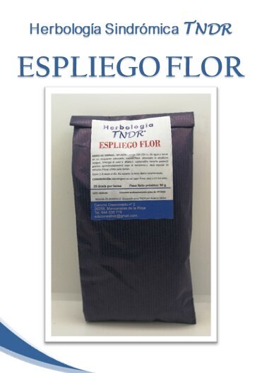 ESPLIEGO FLOR