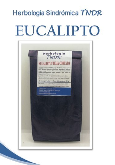 EUCALIPTO