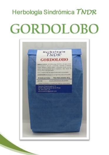 GORDOLOBO