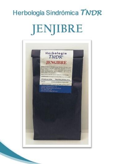 JENJIBRE