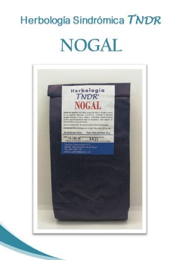 NOGAL TAMAÑO GRANDE