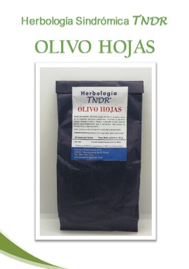 OLIVO HOJAS