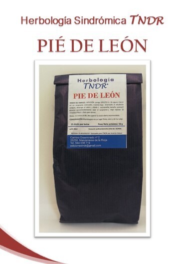 PIE DE LEÓN