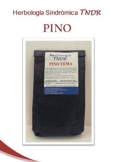 PINO