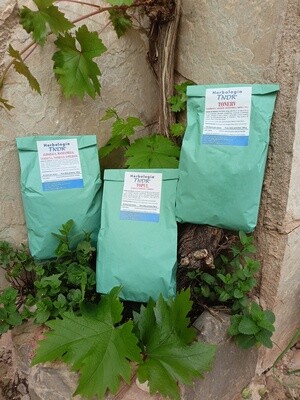 PLANTAS MEDICINALES