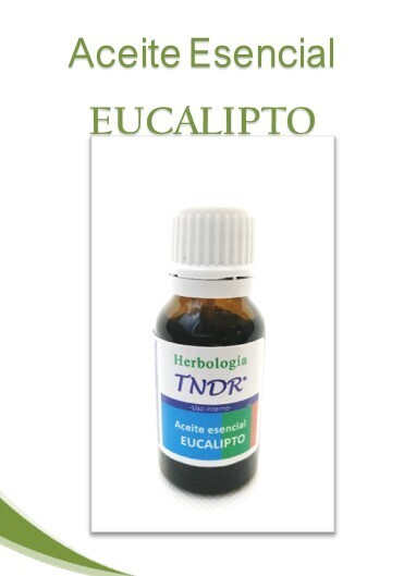 A.E. EUCALIPTO