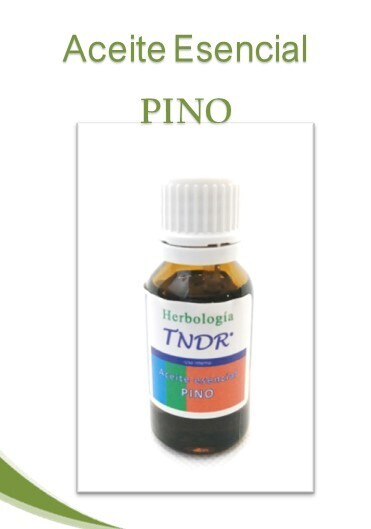 A.E. PINO