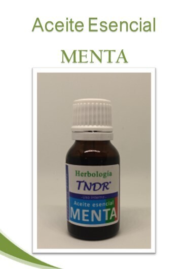 A.E. MENTA
