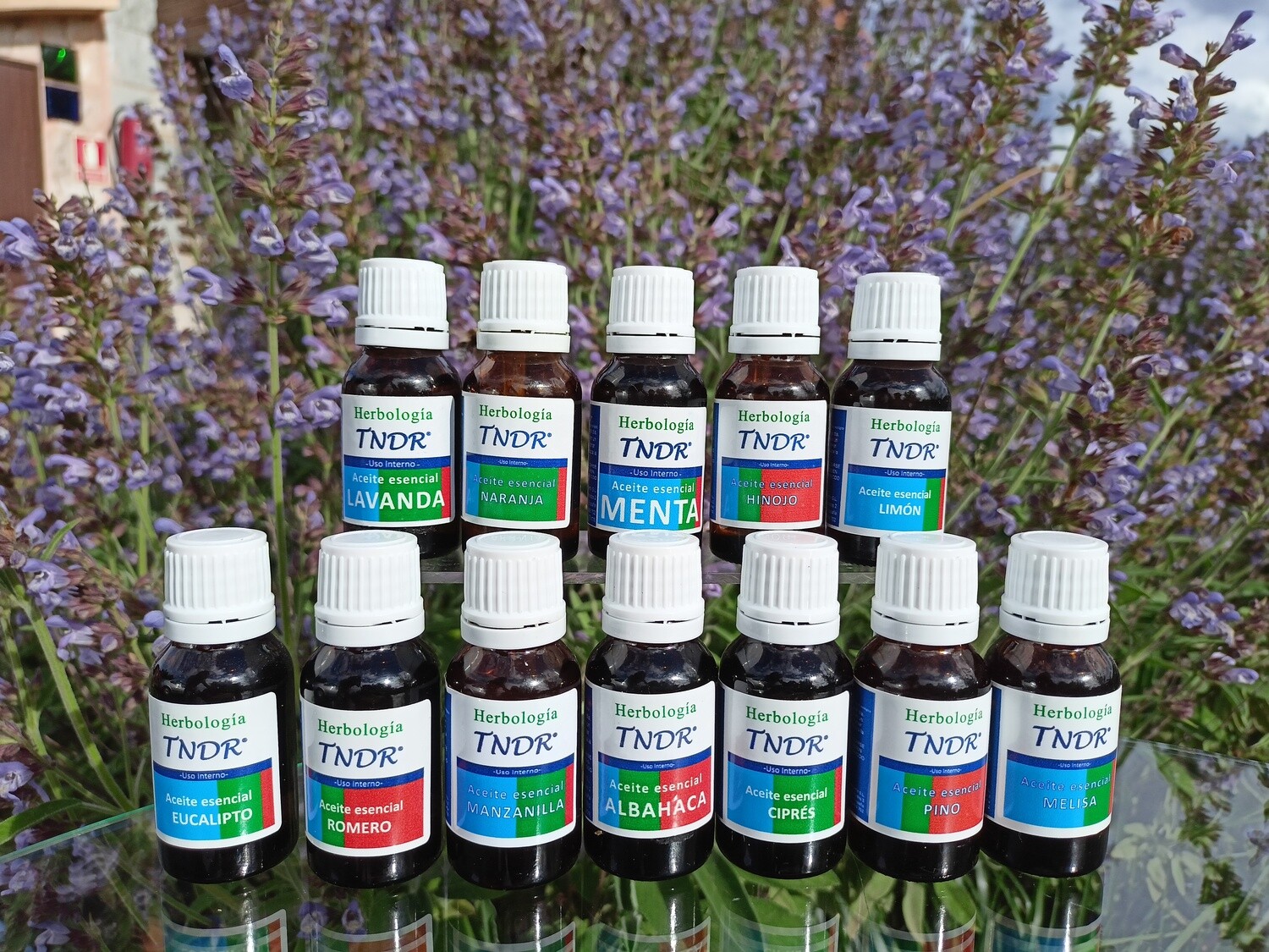 Pack de 13  Aceites Esenciales