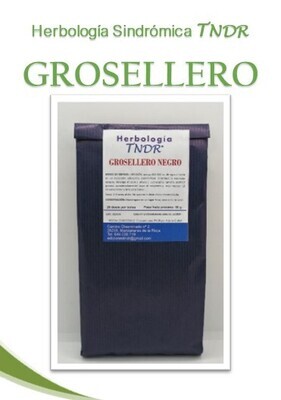 GROSELLERO