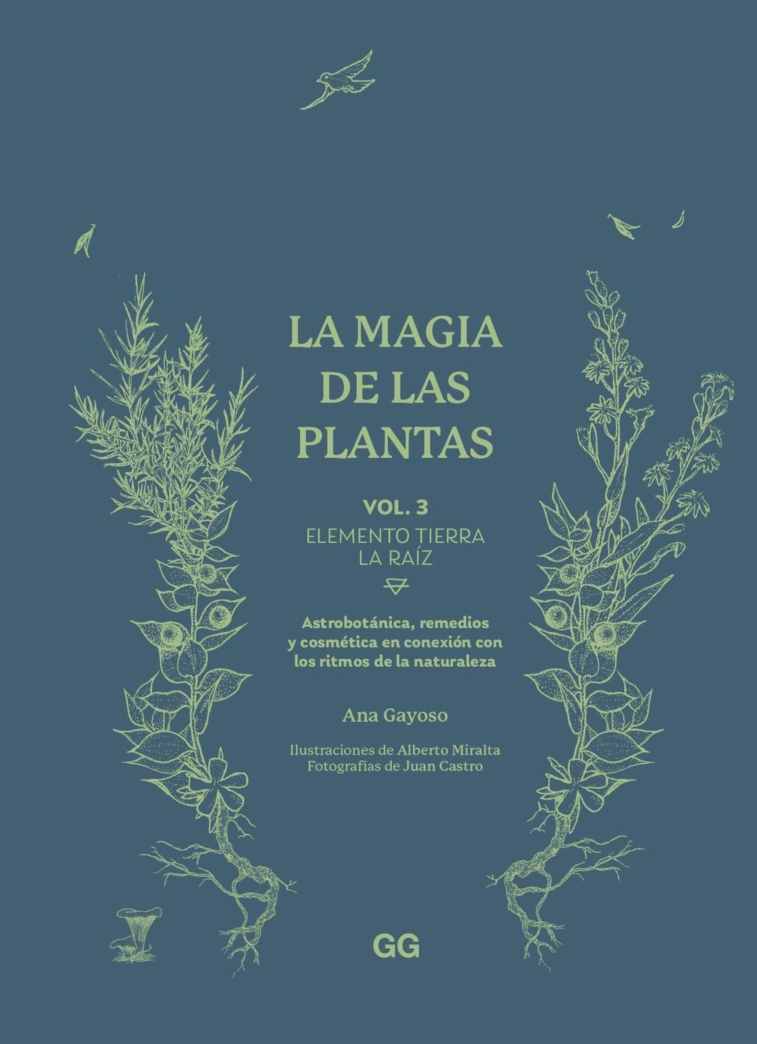 LA MAGIA DE LAS PLANTAS - VOL.3